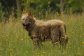 AAH Freundschaftshüten / Bild 6 von 88 / 28.07.2019 09:02 / DSC_5118.JPG