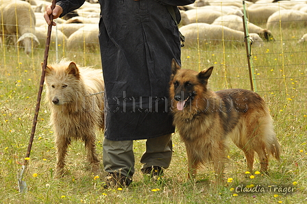 AAH Freundschaftshüten / Bild 8 von 88 / 28.07.2019 09:48 / DSC_5223.JPG