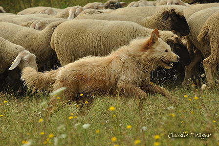 AAH Freundschaftshüten / Bild 10 von 88 / 28.07.2019 09:53 / DSC_5312.JPG