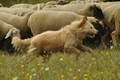 AAH Freundschaftshüten / Bild 10 von 88 / 28.07.2019 09:53 / DSC_5312.JPG