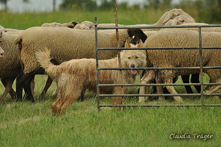 AAH Freundschaftshüten / Bild 11 von 88 / 28.07.2019 09:57 / DSC_5363.JPG