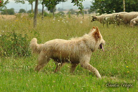 AAH Freundschaftshüten / Bild 13 von 88 / 28.07.2019 10:00 / DSC_5416.JPG