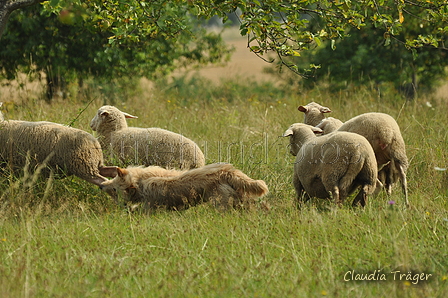 AAH Freundschaftshüten / Bild 14 von 88 / 28.07.2019 10:07 / DSC_5532.JPG