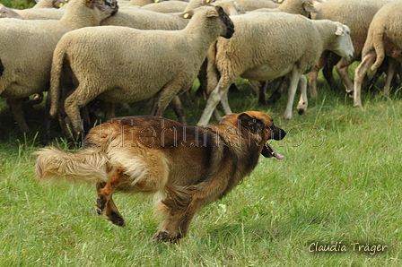 AAH Freundschaftshüten / Bild 17 von 88 / 28.07.2019 10:09 / DSC_5640.JPG