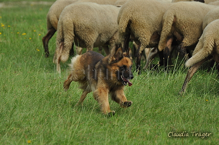 AAH Freundschaftshüten / Bild 21 von 88 / 28.07.2019 10:16 / DSC_5756.JPG