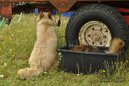 AAH Freundschaftshüten / Bild 26 von 88 / 28.07.2019 10:25 / DSC_5884.JPG