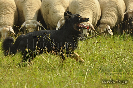 AAH Freundschaftshüten / Bild 30 von 88 / 28.07.2019 10:56 / DSC_6157.JPG