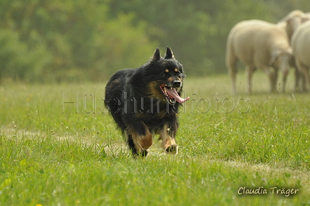 AAH Freundschaftshüten / Bild 32 von 88 / 28.07.2019 11:00 / DSC_6268.JPG