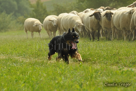 AAH Freundschaftshüten / Bild 33 von 88 / 28.07.2019 11:00 / DSC_6284.JPG