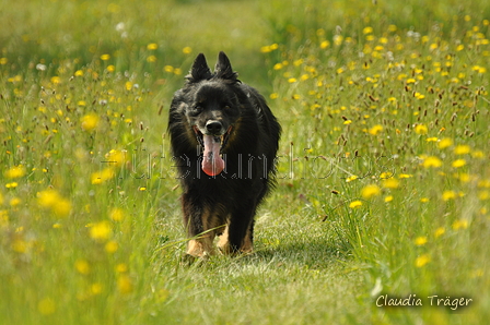 AAH Freundschaftshüten / Bild 34 von 88 / 28.07.2019 11:05 / DSC_6422.JPG