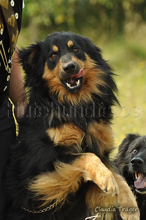 AAH Freundschaftshüten / Bild 41 von 88 / 28.07.2019 11:27 / DSC_6668.JPG