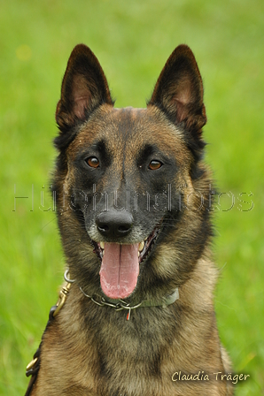AAH Freundschaftshüten / Bild 63 von 88 / 28.07.2019 12:28 / DSC_7406.JPG