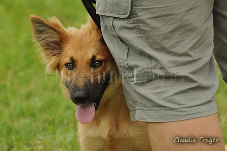 AAH Freundschaftshüten / Bild 65 von 88 / 28.07.2019 12:29 / DSC_7428.JPG