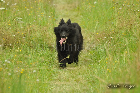 AAH Freundschaftshüten / Bild 73 von 88 / 28.07.2019 13:27 / DSC_7685.JPG