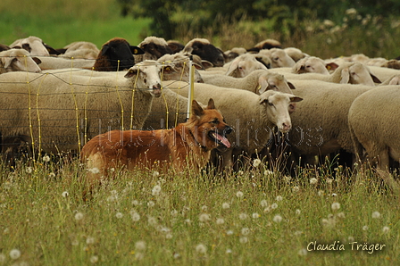 AAH Freundschaftshüten / Bild 75 von 88 / 28.07.2019 14:05 / DSC_7999.JPG