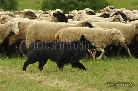 AAH Freundschaftshüten / Bild 78 von 88 / 28.07.2019 14:21 / DSC_8311.JPG