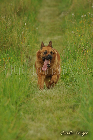 AAH Freundschaftshüten / Bild 81 von 88 / 28.07.2019 14:23 / DSC_8345.JPG