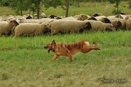 AAH Freundschaftshüten / Bild 84 von 88 / 28.07.2019 14:27 / DSC_8490.JPG