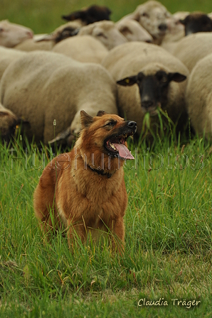 AAH Freundschaftshüten / Bild 85 von 88 / 28.07.2019 14:30 / DSC_8597.JPG