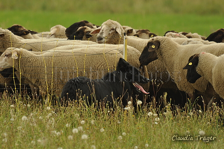 AAH Freundschaftshüten / Bild 86 von 88 / 28.07.2019 14:35 / DSC_8669.JPG