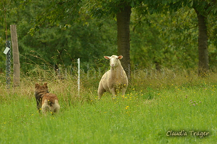AAH Freundschaftsh&uuml;ten / Bild 5 von 62 / 04.08.2024 10:40 / DSC_5461.JPG