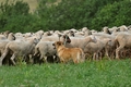 Vorschau von Bild 43 von 113