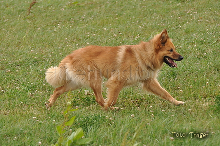 Bild 81 von 113