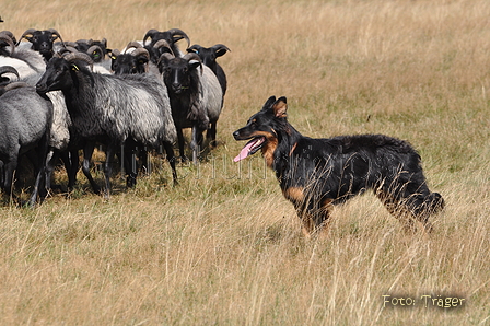 AAH Niedersachsen Landeshüten 2014 / Bild 53 von 83 / 24.08.2014 14:20 / DSC_7400.JPG