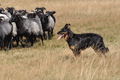 AAH Niedersachsen Landeshüten 2014 / Bild 53 von 83 / 24.08.2014 14:20 / DSC_7400.JPG