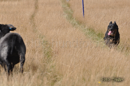 AAH Niedersachsen Landeshüten 2014 / Bild 55 von 83 / 24.08.2014 14:21 / DSC_7458.JPG