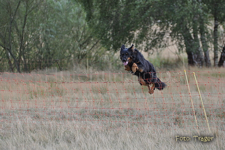 AAH Niedersachsen Landeshüten 2014 / Bild 61 von 83 / 24.08.2014 14:43 / DSC_7733.JPG