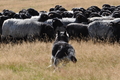 AAH Niedersachsen Landeshüten 2014 / Bild 68 von 83 / 24.08.2014 15:59 / DSC_8139.JPG