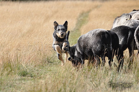 AAH Niedersachsen Landeshüten 2014 / Bild 75 von 83 / 24.08.2014 16:08 / DSC_8444.JPG