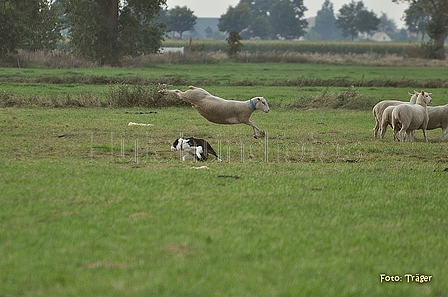 Bild 18 von 77