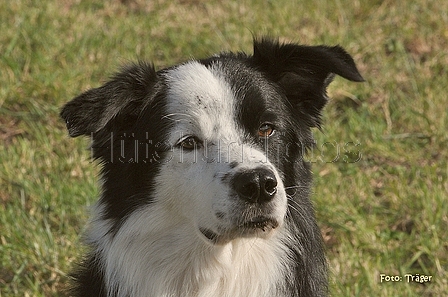 Bild 77 von 77