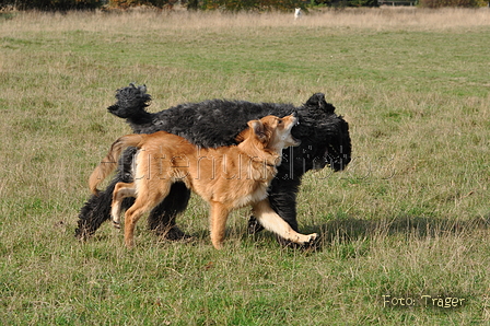 Bild 13 von 53