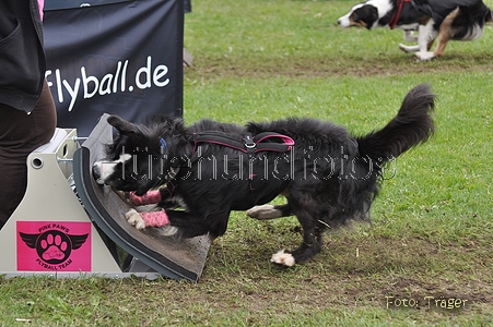 Bild 3 von 29