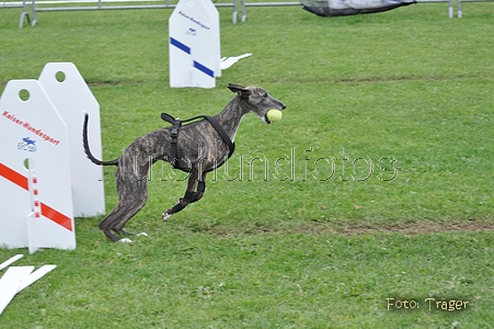 Bild 13 von 29