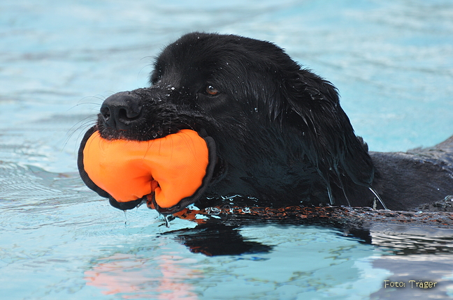 Freibad Lindhorst / Bild 1 von 31 / 18.09.2015 15:10 / DSC_1809.JPG