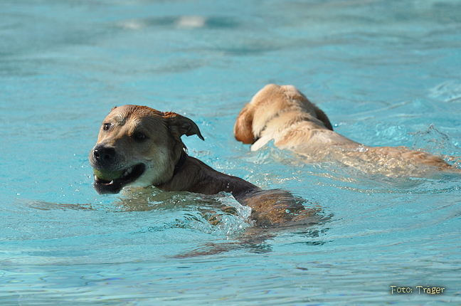 Freibad Lindhorst / Bild 6 von 31 / 18.09.2015 15:36 / DSC_2137.JPG