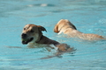 Freibad Lindhorst / Bild 6 von 31 / 18.09.2015 15:36 / DSC_2137.JPG