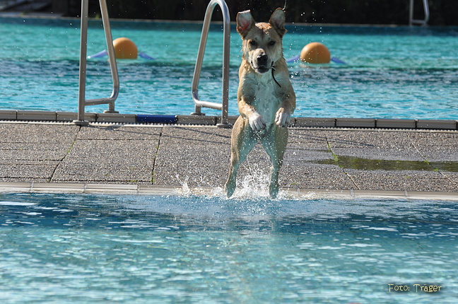 Freibad Lindhorst / Bild 7 von 31 / 18.09.2015 15:42 / DSC_2201.JPG