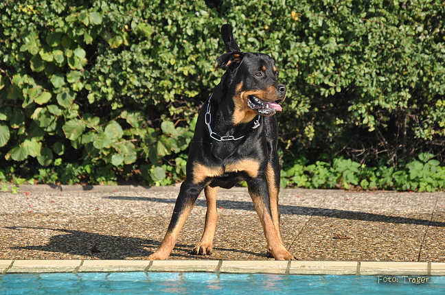 Freibad Lindhorst / Bild 9 von 31 / 18.09.2015 15:48 / DSC_2235.JPG