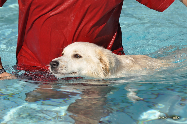 Freibad Lindhorst / Bild 10 von 31 / 18.09.2015 15:48 / DSC_2238.JPG