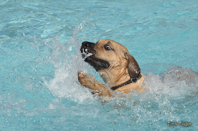 Freibad Lindhorst / Bild 11 von 31 / 18.09.2015 15:48 / DSC_2253.JPG