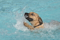 Freibad Lindhorst / Bild 11 von 31 / 18.09.2015 15:48 / DSC_2253.JPG