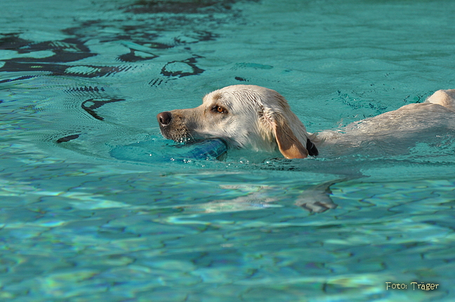 Freibad Lindhorst / Bild 17 von 31 / 18.09.2015 16:35 / DSC_2515.JPG