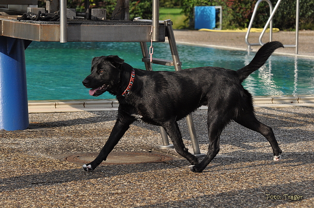 Freibad Lindhorst / Bild 18 von 31 / 18.09.2015 16:35 / DSC_2521.JPG