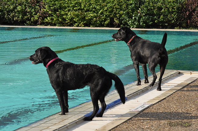 Freibad Lindhorst / Bild 19 von 31 / 18.09.2015 16:35 / DSC_2527.JPG