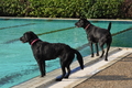 Freibad Lindhorst / Bild 19 von 31 / 18.09.2015 16:35 / DSC_2527.JPG